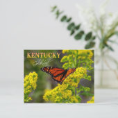 Carte Postale Fleur d'État du Kentucky : Goldenrod (Debout devant)