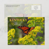 Carte Postale Fleur d'État du Kentucky : Goldenrod (Devant / Derrière)