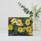 Carte Postale Fleur d'été (Debout devant)