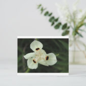 Carte Postale Fleur d'été jaune (Debout devant)
