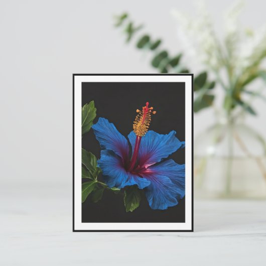 Carte Postale Fleur d'Hibiscus Bleu en Fleur, (Debout devant)