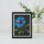 Carte Postale Fleur D'Hibiscus Bleu Sur Noir, (Debout devant)