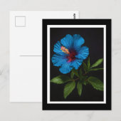 Carte Postale Fleur D'Hibiscus Bleu Sur Noir, (Devant / Derrière)