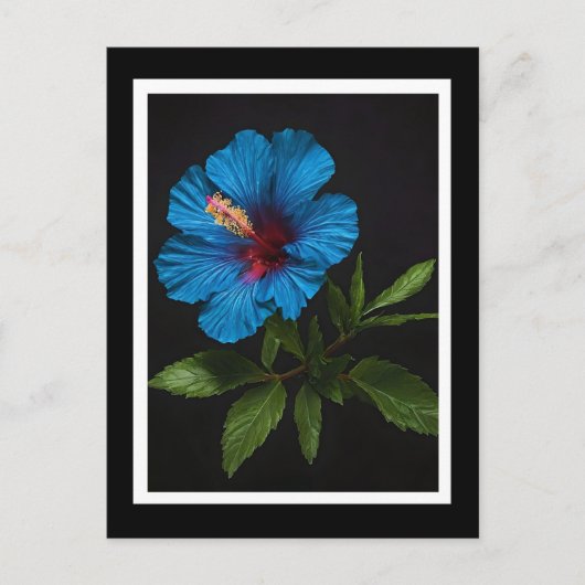 Carte Postale Fleur D'Hibiscus Bleu Sur Noir, (Devant)