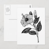 Carte Postale Fleur d'Hibiscus III (Devant / Derrière)