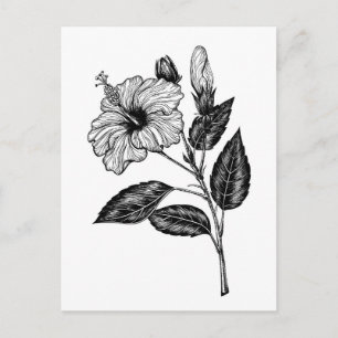 Carte Postale Fleur d'Hibiscus III