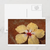 Carte Postale Fleur d'hibiscus jaune simple (Devant / Derrière)