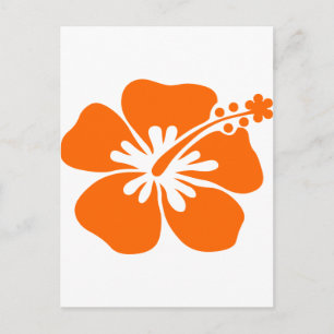 Carte Postale Fleur d'hibiscus orange