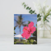 Carte Postale Fleur d'hibiscus rose (Debout devant)