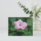 Carte Postale Fleur d'Hibiscus Rose Vibrant (Debout devant)