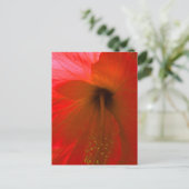 Carte Postale Fleur d'Hibiscus rouge (Debout devant)
