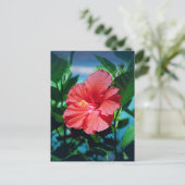 Carte Postale Fleur d'Hibiscus rouge (Debout devant)