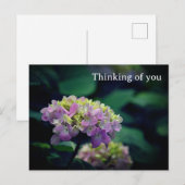 Carte Postale Fleur d'Hydrangée rose et blanche qui pense à vous (Devant / Derrière)