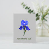 Carte Postale Fleur d'Iris (Debout devant)