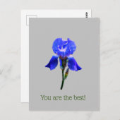 Carte Postale Fleur d'Iris (Devant / Derrière)