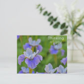 Carte Postale Fleur d'Iris Bleue Pensant à vous (Debout devant)