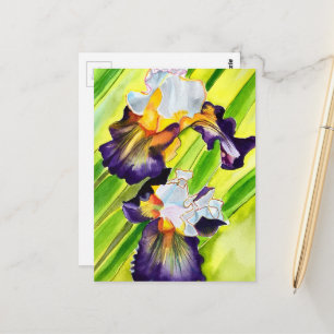 Carte Postale Fleur d'iris floral aquarelle