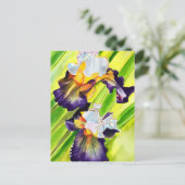 Carte Postale Fleur d'iris florale à l'aquarelle (Debout devant)