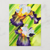 Carte Postale Fleur d'iris florale à l'aquarelle (Devant)