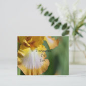 Carte Postale Fleur d'Iris Jaune qui pense à vous (Debout devant)