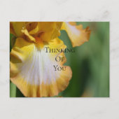 Carte Postale Fleur d'Iris Jaune qui pense à vous (Devant)