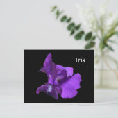 Carte Postale Fleur d'iris pourpre (Debout devant)