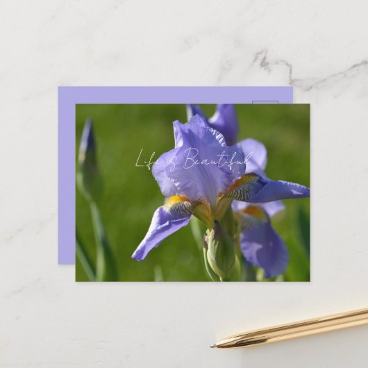 Carte Postale Fleur d'Iris Pourpre (ma photographie) (Devant/Arrière en situation)