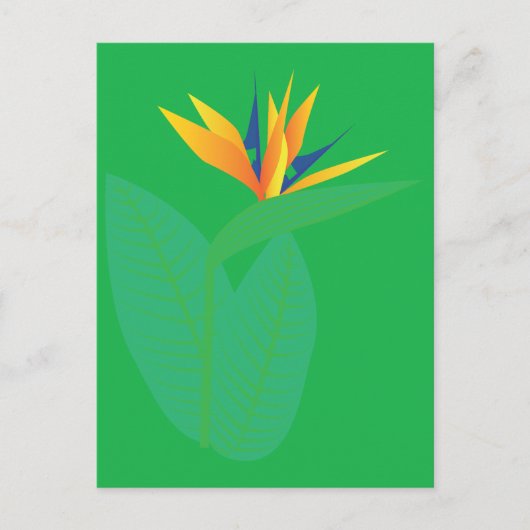 Carte Postale Fleur d'oiseau de paradis (Devant)