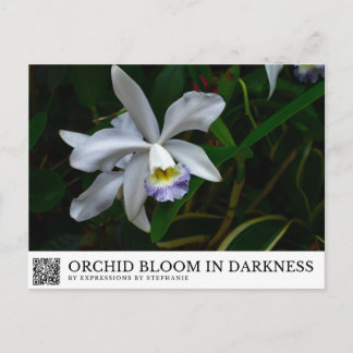 Carte Postale Fleur d'orchidée dans l'obscurité
