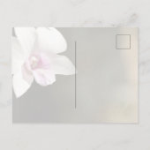 Carte Postale Fleur d'orchidée rose blanche Kauai, Hawaii (Dos)