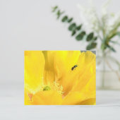 Carte postale Fleur d'oreille (Debout devant)