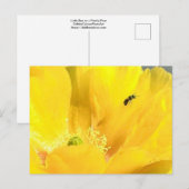 Carte postale Fleur d'oreille (Devant / Derrière)