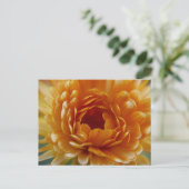 CARTE POSTALE - Fleur du désert (Debout devant)