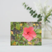 CARTE POSTALE FLEUR DU DÉSERT DE CALIFORNIE #1 (Debout devant)