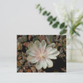 Carte Postale Fleur du désert peinte (Debout devant)