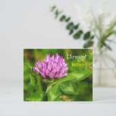 Carte Postale Fleur du Vermont State : Clover rouge (Debout devant)