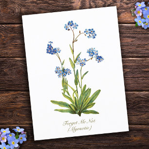 Carte Postale Fleur élégante vintage botanique Ne m'oubliez pas
