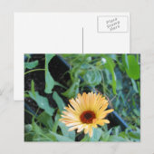 Carte Postale Fleur en feuilles deux (Devant / Derrière)