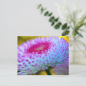 Carte Postale Fleur en fleur (Debout devant)