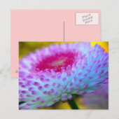 Carte Postale Fleur en fleur (Devant / Derrière)
