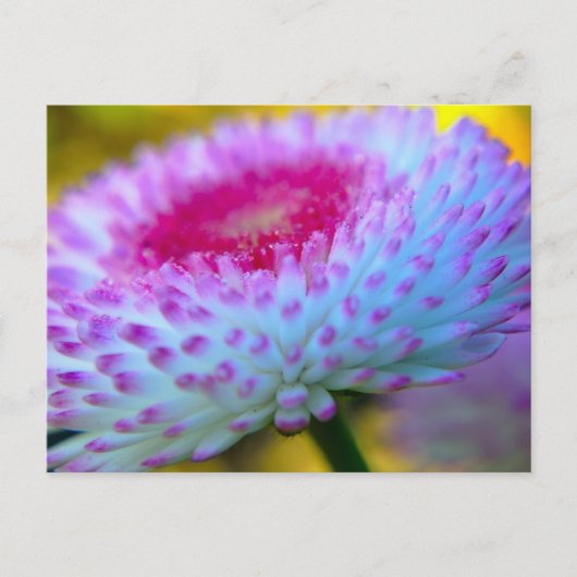 Carte Postale Fleur en fleur (Devant)