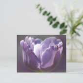 Carte Postale Fleur Et Abeille De Tulipe Violette (Debout devant)