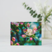Carte Postale Fleur et bourgeons de pommes de terre (Debout devant)