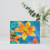 Carte Postale Fleur étoile orange (Debout devant)