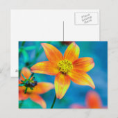 Carte Postale Fleur étoile orange (Devant / Derrière)