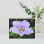 Carte Postale Fleur exotique (Debout devant)