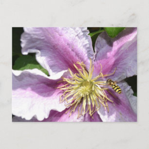 Carte Postale Fleur exotique avec abeille