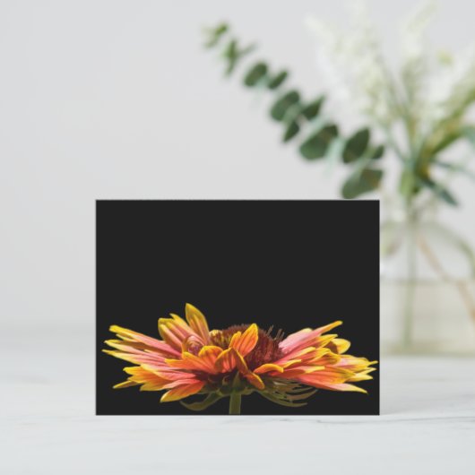 Carte postale Fleur Faisée Automne (Debout devant)