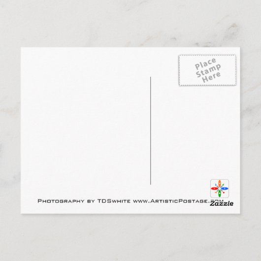 Carte postale Fleur Faisée Automne (Dos)