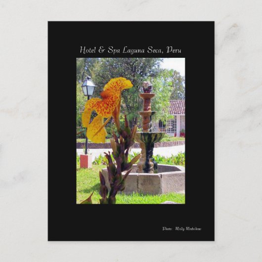 Carte Postale Fleur & Fontaine, Hôtel & Spa Laguna Seca, Pérou (Devant)
